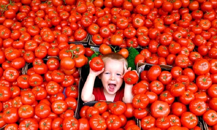 Forget five a day, eat 10 portions of fruit and veg to cut risk of early death 